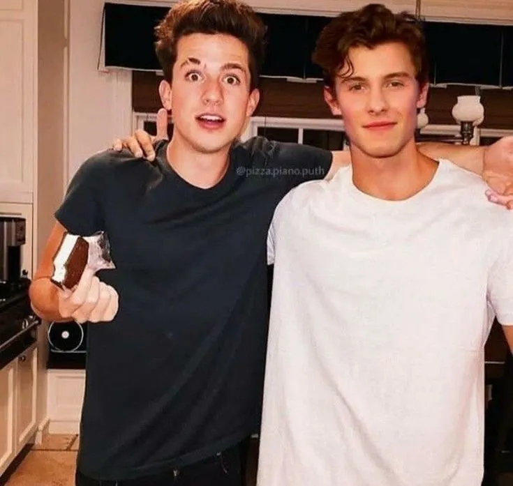Charlie Puth, Shawn Mendes, and Harry Styles—Caught in a Love Triangle?!