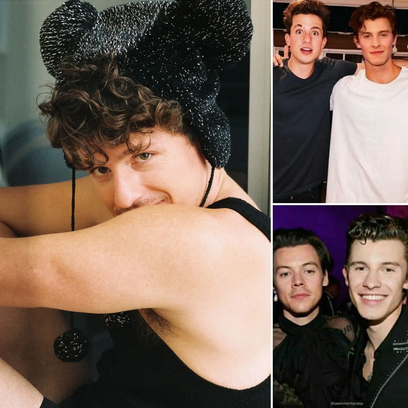 Charlie Puth, Shawn Mendes, and Harry Styles—Caught in a Love Triangle?!