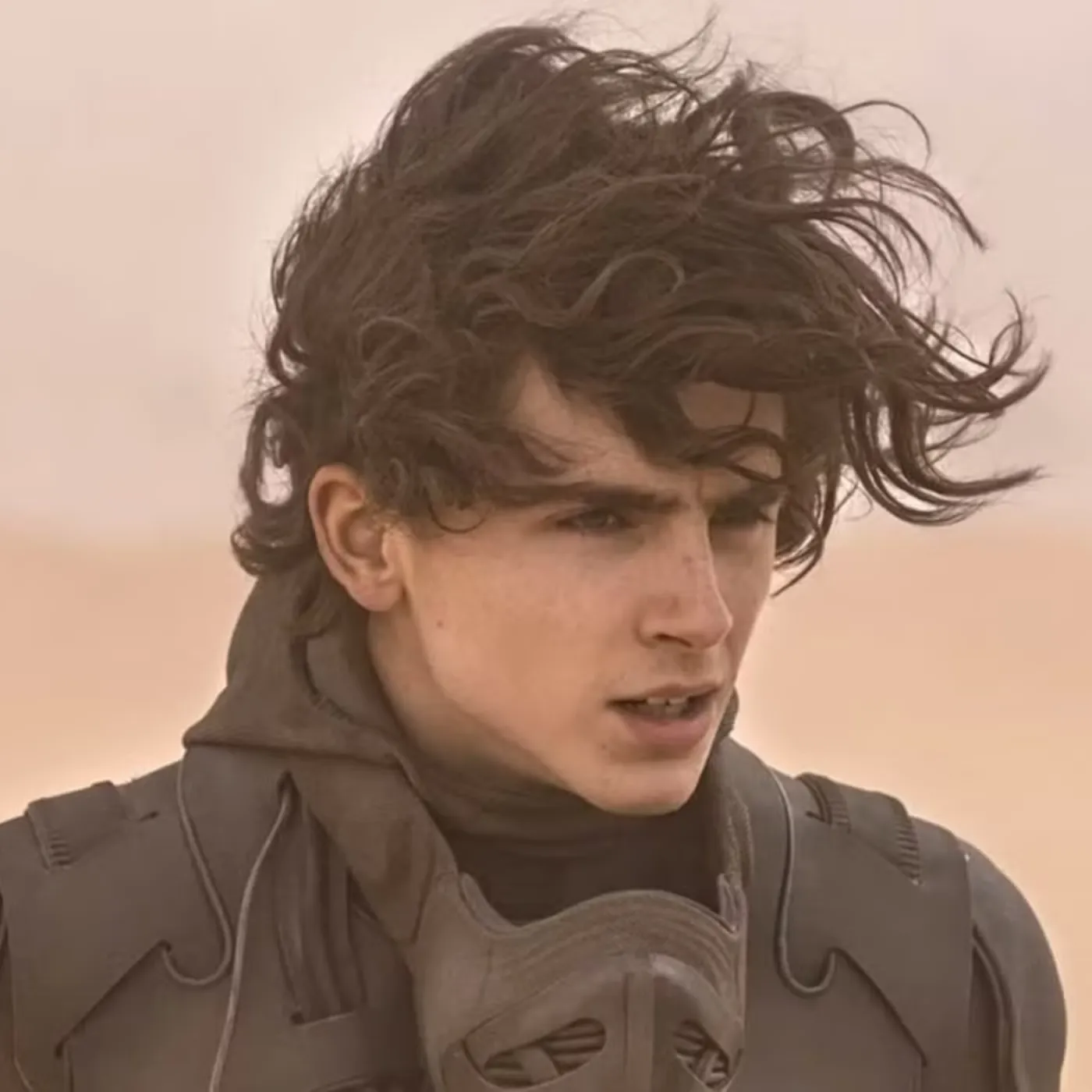 Timothée Chalamet and Kylie Jenner Won’t Marry—The Shocking Reason Behind His Decision