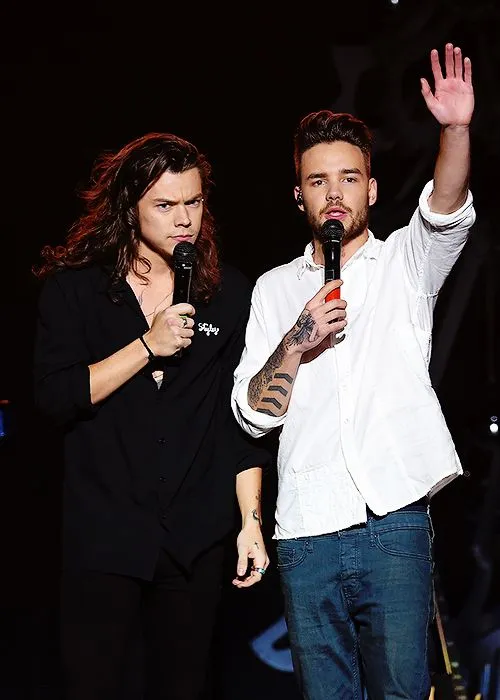 Harry Styles’ Emotional Tribute to Liam Payne: “I Turn 31, My Friend Forever 31”