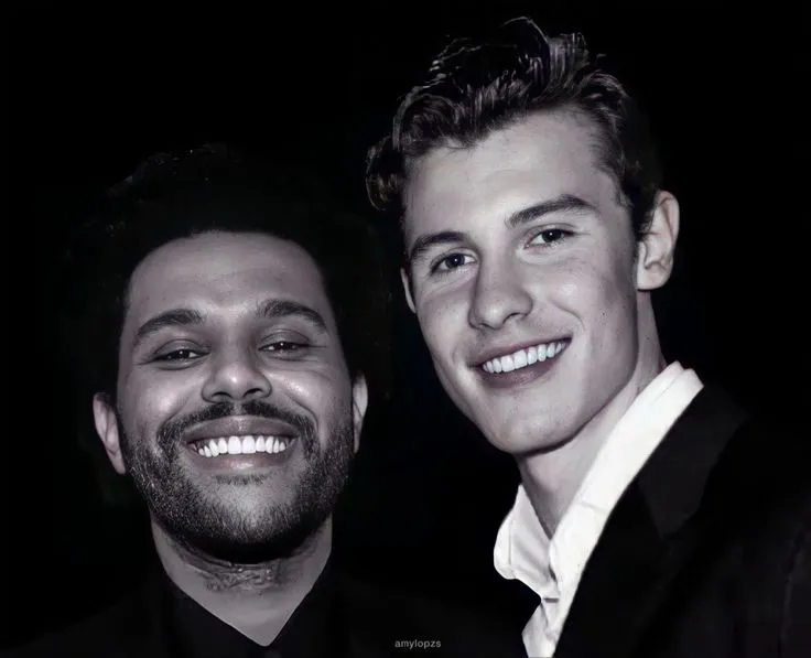 Shawn Mendes vs. The Weeknd: Who Truly Owns Pop?