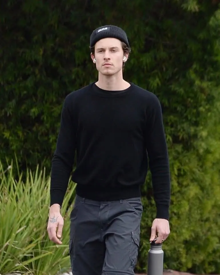 Shawn Mendes' shocking transformation, what is that image hiding?