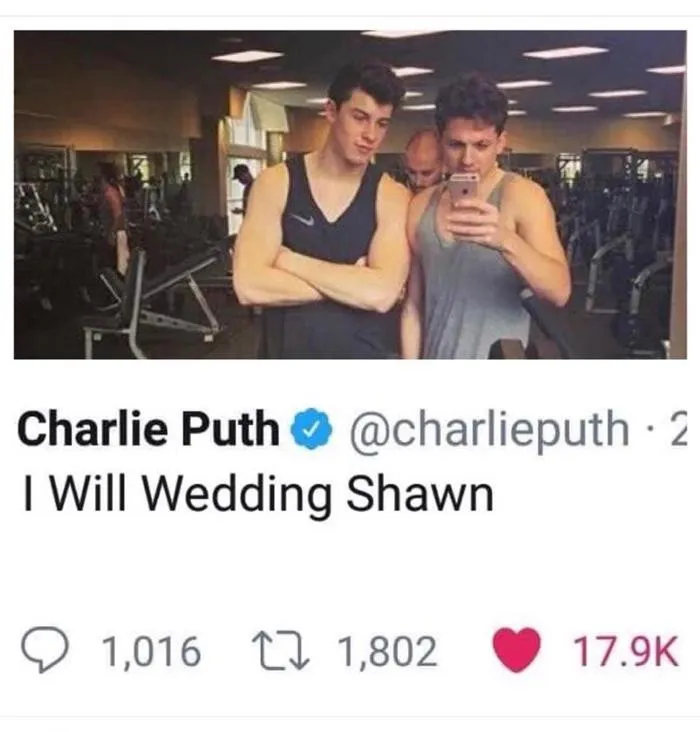 What REALLY Happened Between Charlie Puth and Shawn Mendes? We Investigate! 4 What REALLY Happened Between Charlie Puth and Shawn Mendes? We Investigate!
