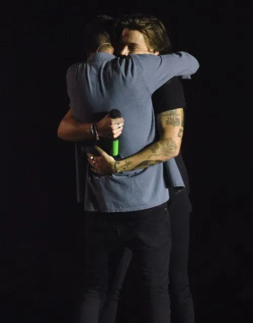 Harry Styles’ Love for Liam Payne: A Tearful Testament That Shook Fans