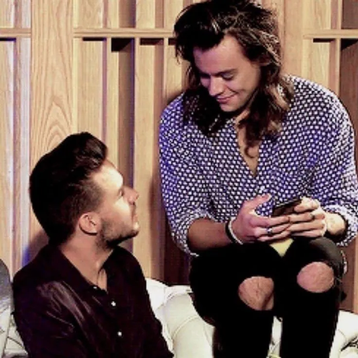 Harry Styles’ Love for Liam Payne: A Tearful Testament That Shook Fans