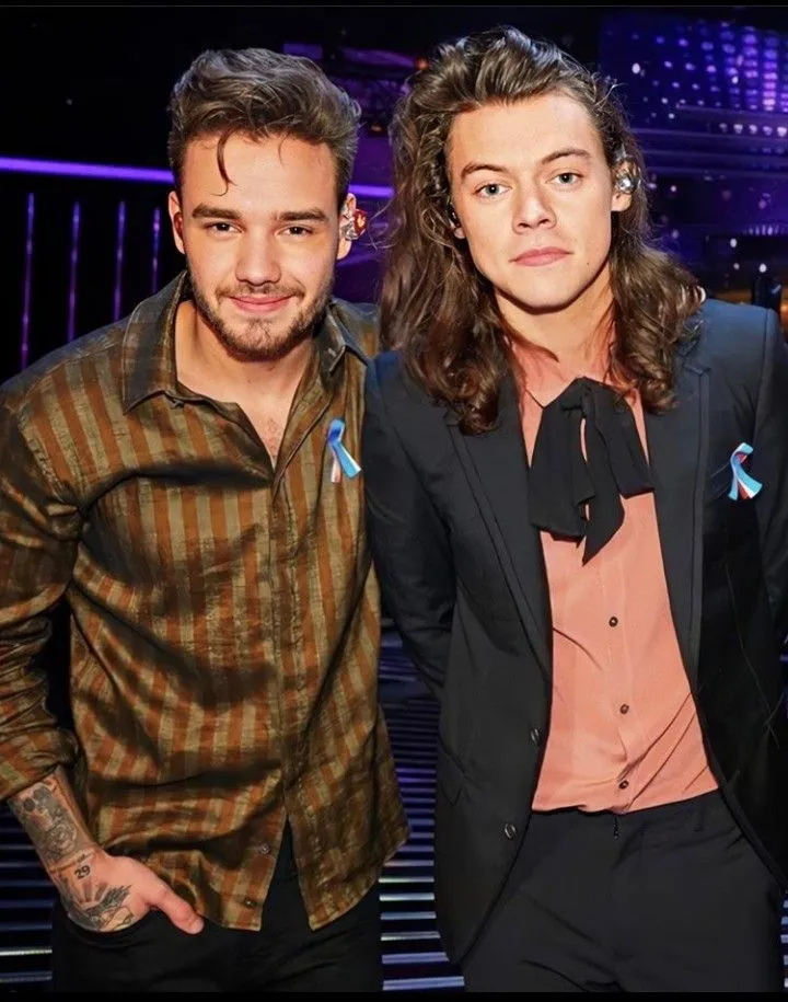 How Liam Payne & Harry Styles Influenced Each Other’s Music in Unexpected Ways