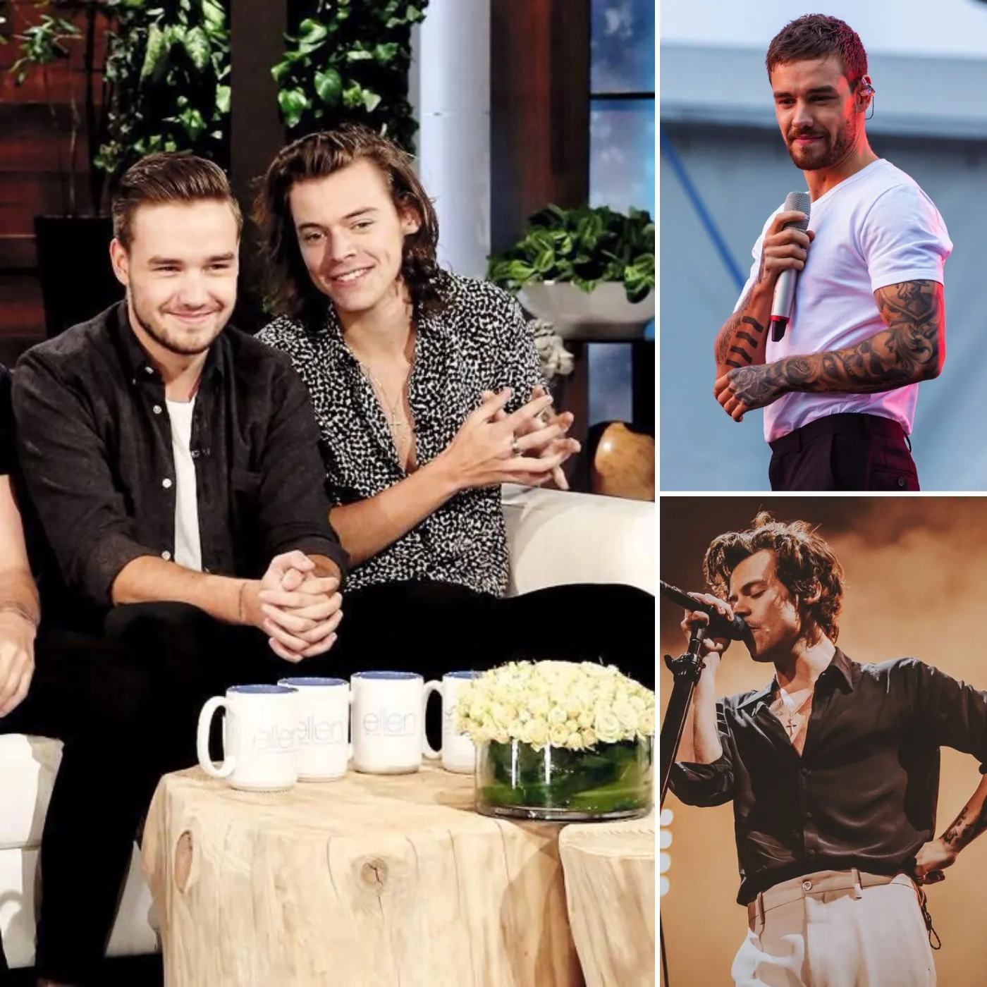 How Liam Payne & Harry Styles Influenced Each Other’s Music in Unexpected Ways