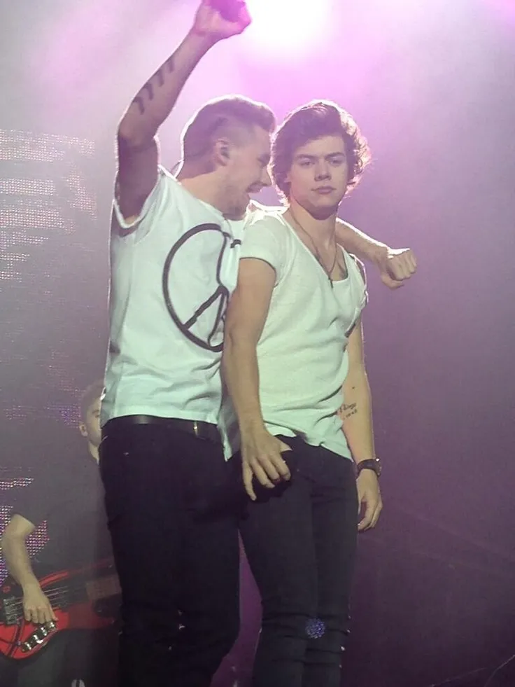 The Truth Behind Harry’s Tears: Missing His One Direction Brother? 2 The Truth Behind Harry’s Tears: Missing His One Direction Brother?