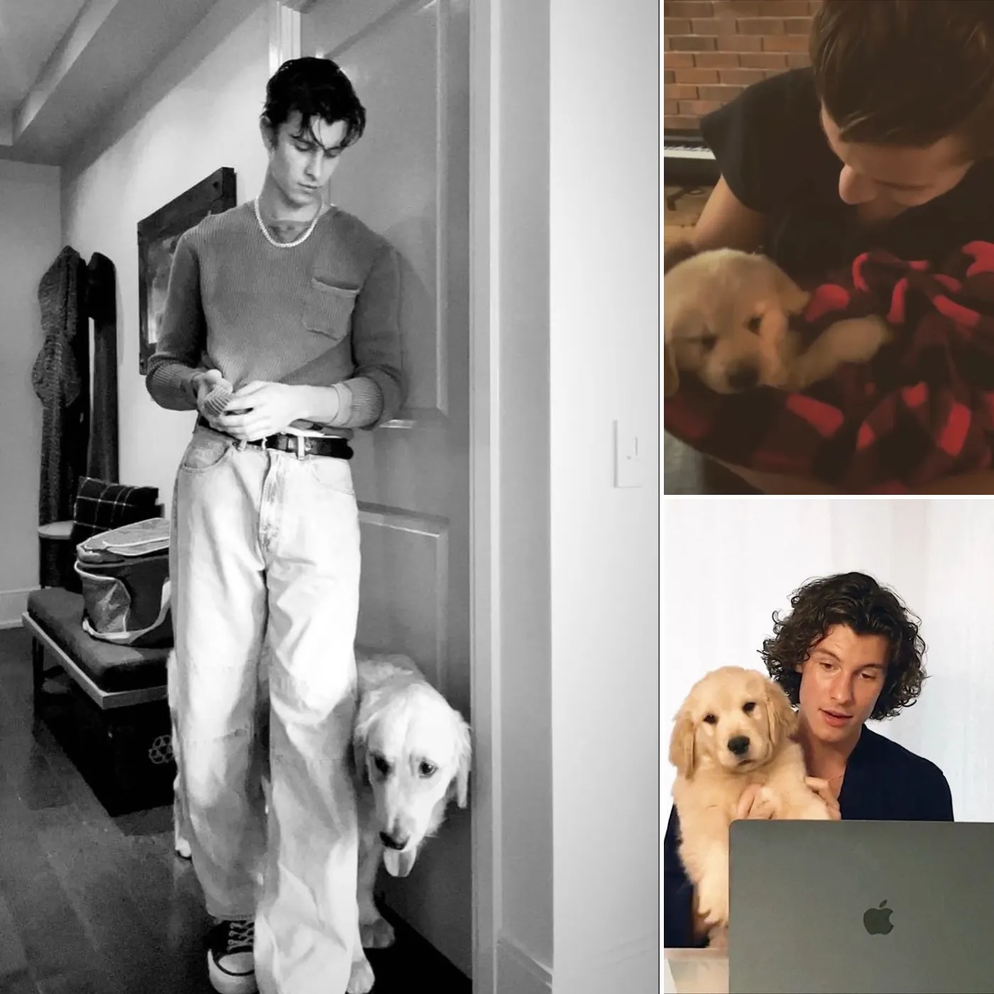 Shawn Mendes Still Keeps His Ex-Girlfriend's Dog – Still Can't Get Over Her?
