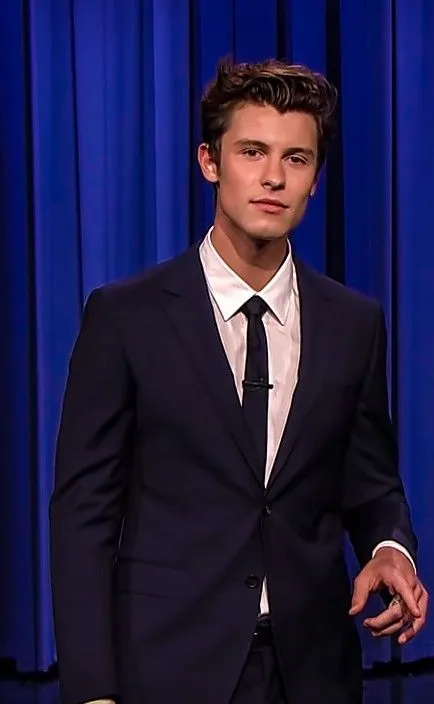 The world was shocked when Shawn Mendes and his boyfriend were married in secret.