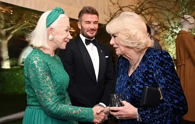 Royal Glamour Unfolds: Stars Gather for a Night of Majesty and Mystery