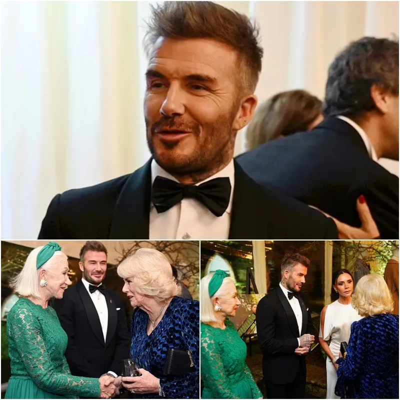 Royal Glamour Unfolds: Stars Gather for a Night of Majesty and Mystery