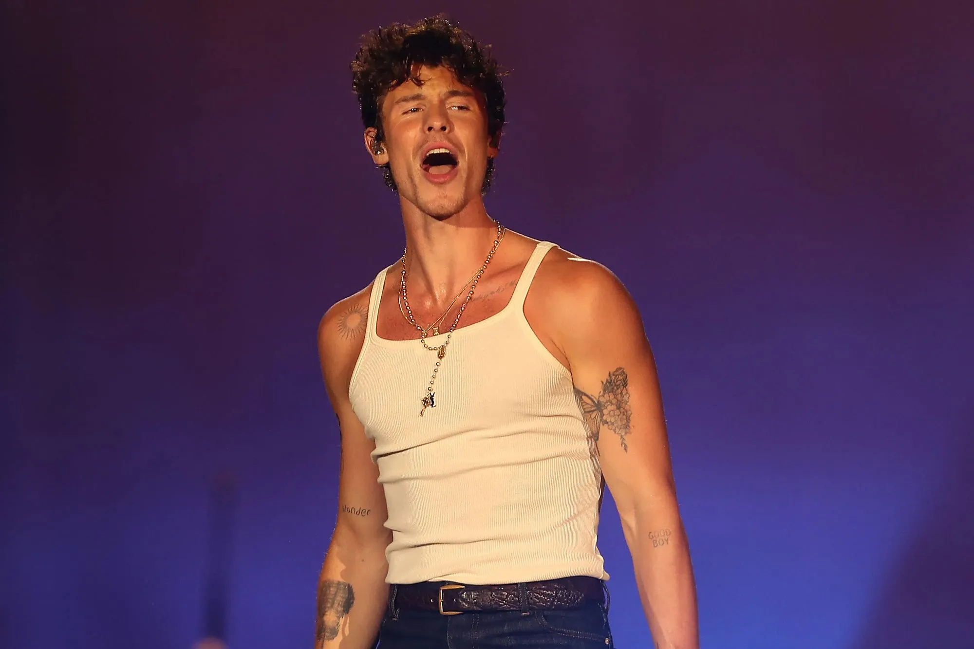 Heartbroken Shawn Mendes stops live concert to pay tribute to Liam Payne  after his 'completely devastating' death | The US Sun