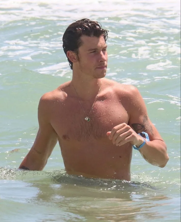 After A Recent Beach Vacation, Shawn Mendes Posted A Sexy Picture Of His Toned Body That Made Fans Swoon