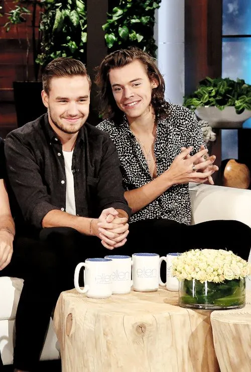 Liam Payne’s Grammy Goodbye: Harry Styles Cries Out the Secret They’ve Kept for Years