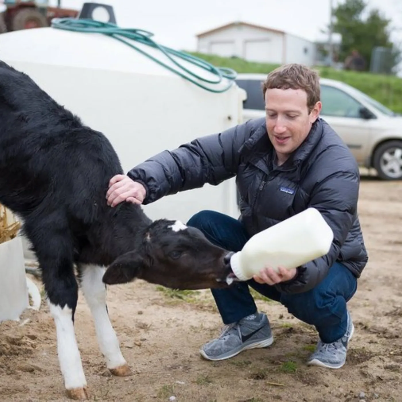 You Won’t Believe Mark Zuckerberg’s New Life at 40: Rapping, Herding Cows, and Brewing Beer!