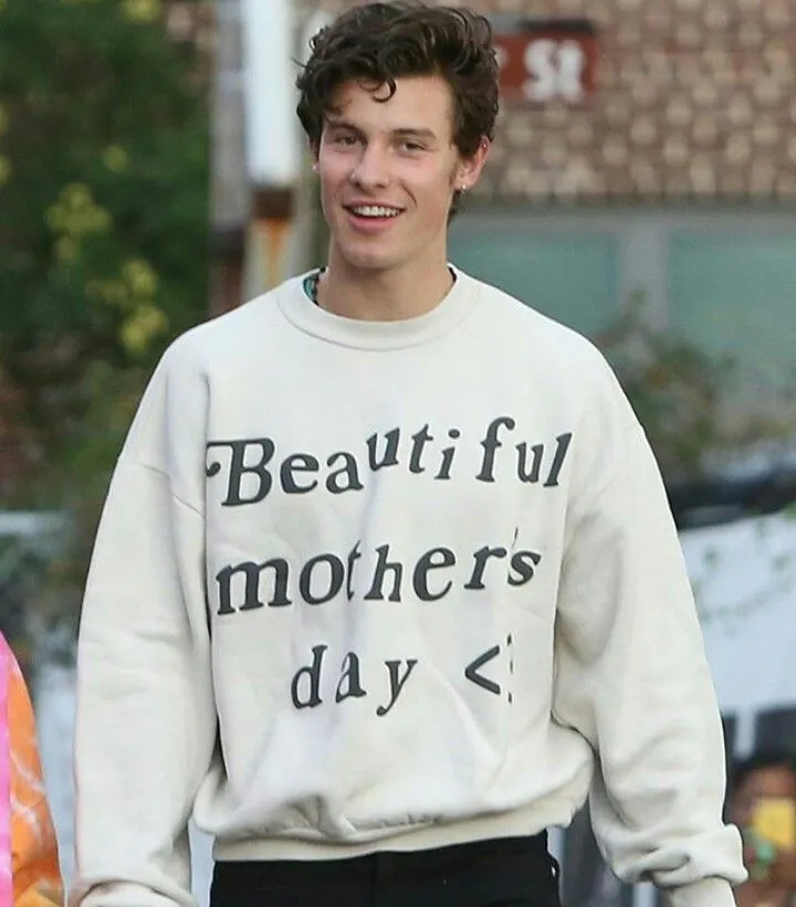 Unveiled: Shawn Mendes' Covert Romance Shocks Fans