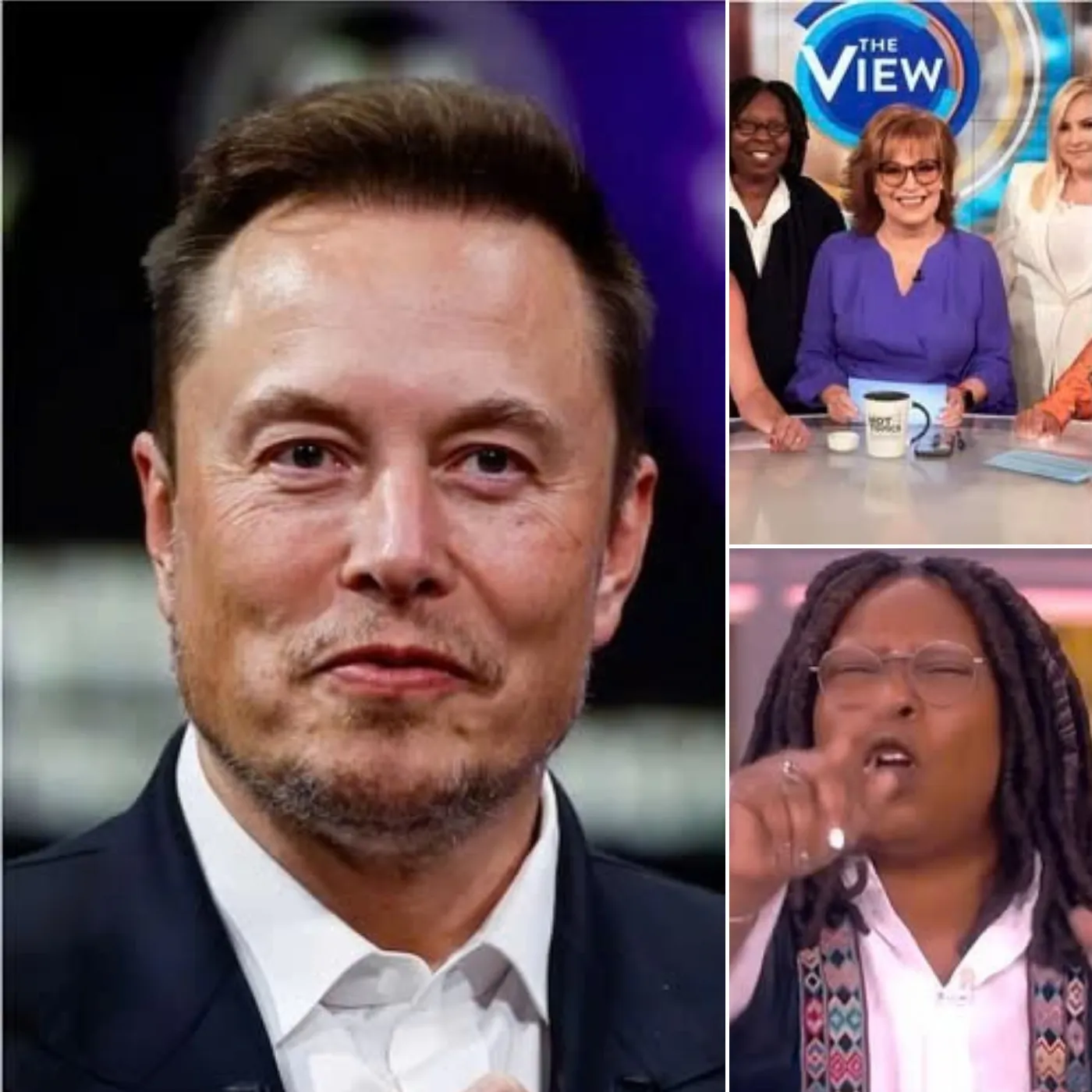 Elon Musk Urges People to Boycott The View, Describing it as “A Gathering Spot for Ignorant Women.” In Response, the Entire Cast Reacted Strongly