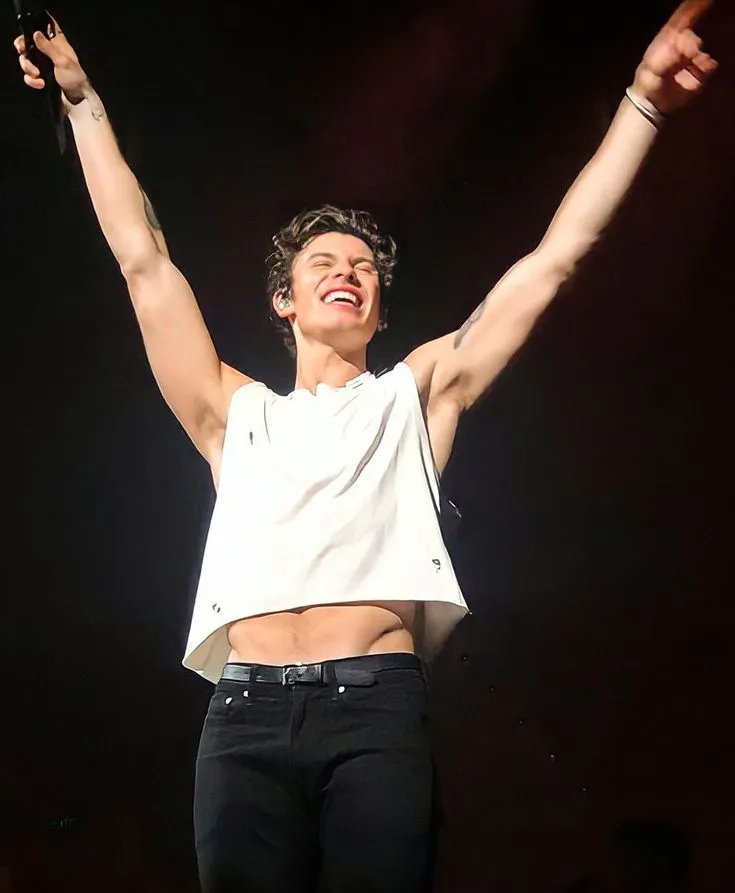 From Heartthrob to Heartache: How Shawn Mendes Redefines Male Sensitivity