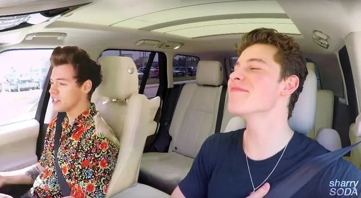 Shawn Mendes Spills the Beans on His Deep Connection with Harry Styles