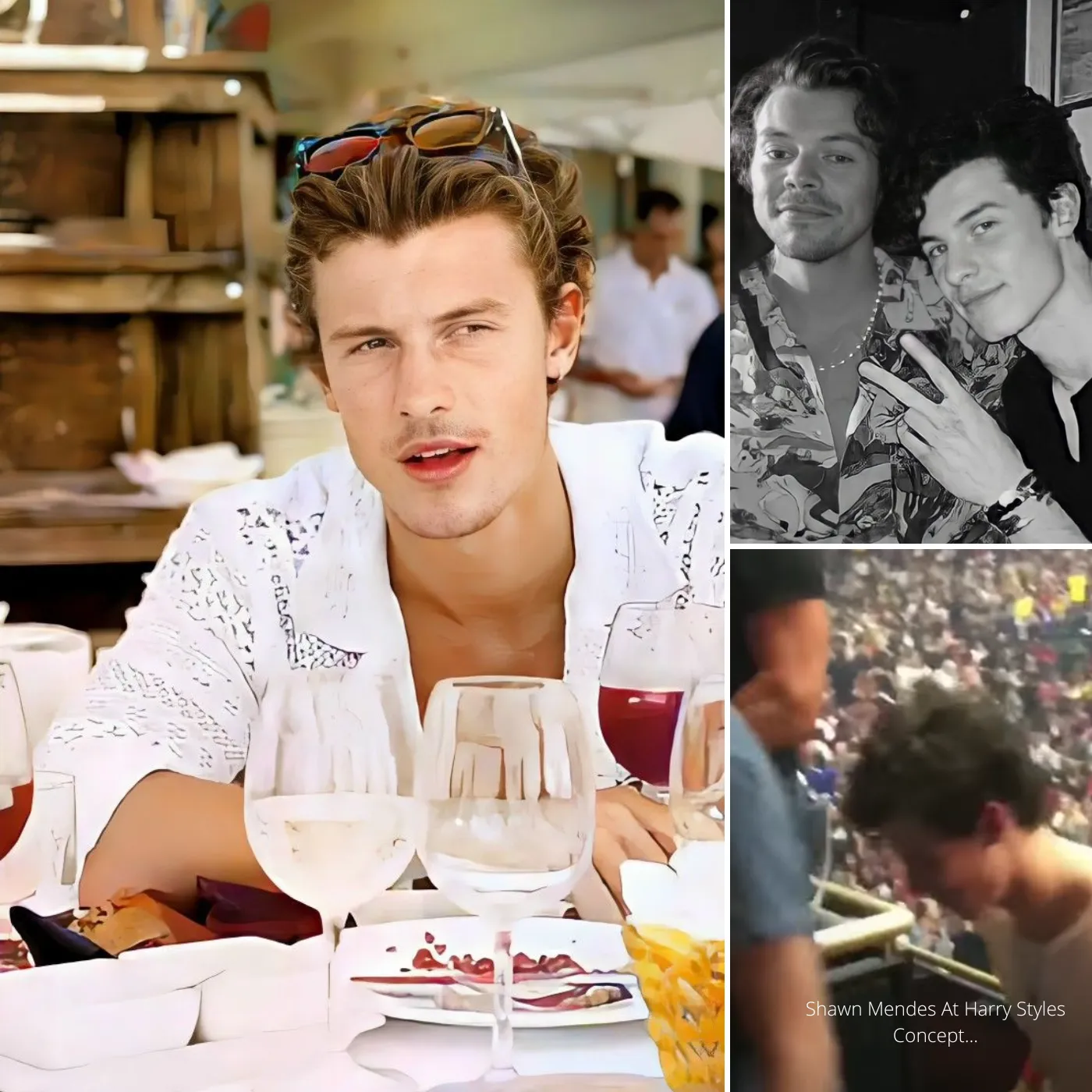 Shawn Mendes Spills the Beans on His Deep Connection with Harry Styles