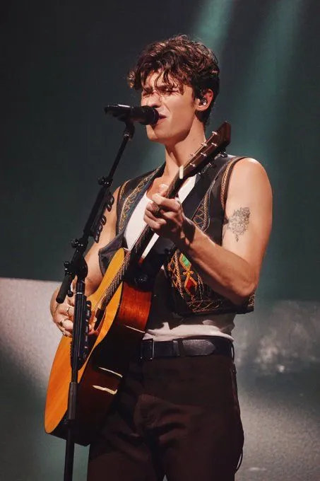 Does Shawn Mendes' Music Hold the Key to Understanding Society’s Deepest Needs?