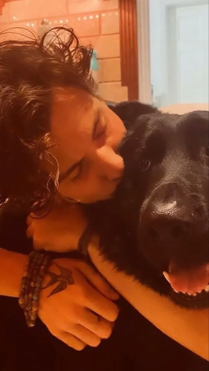 Shawn Mendes Admits: "My Romantic Life? All Smoke and Mirrors" 3 Shawn Mendes Admits: "My Romantic Life? All Smoke and Mirrors"