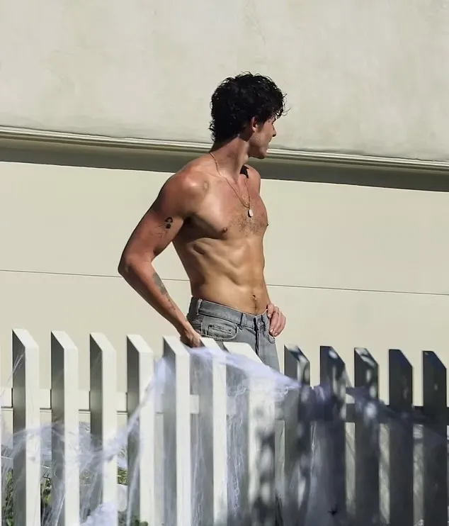 Shawn Mendes' Bold Halloween Move Leaves Fans Stunned