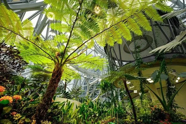 Inside Amazon’s Unique Headquarters: A Tour of “Amazonia” in Seattle