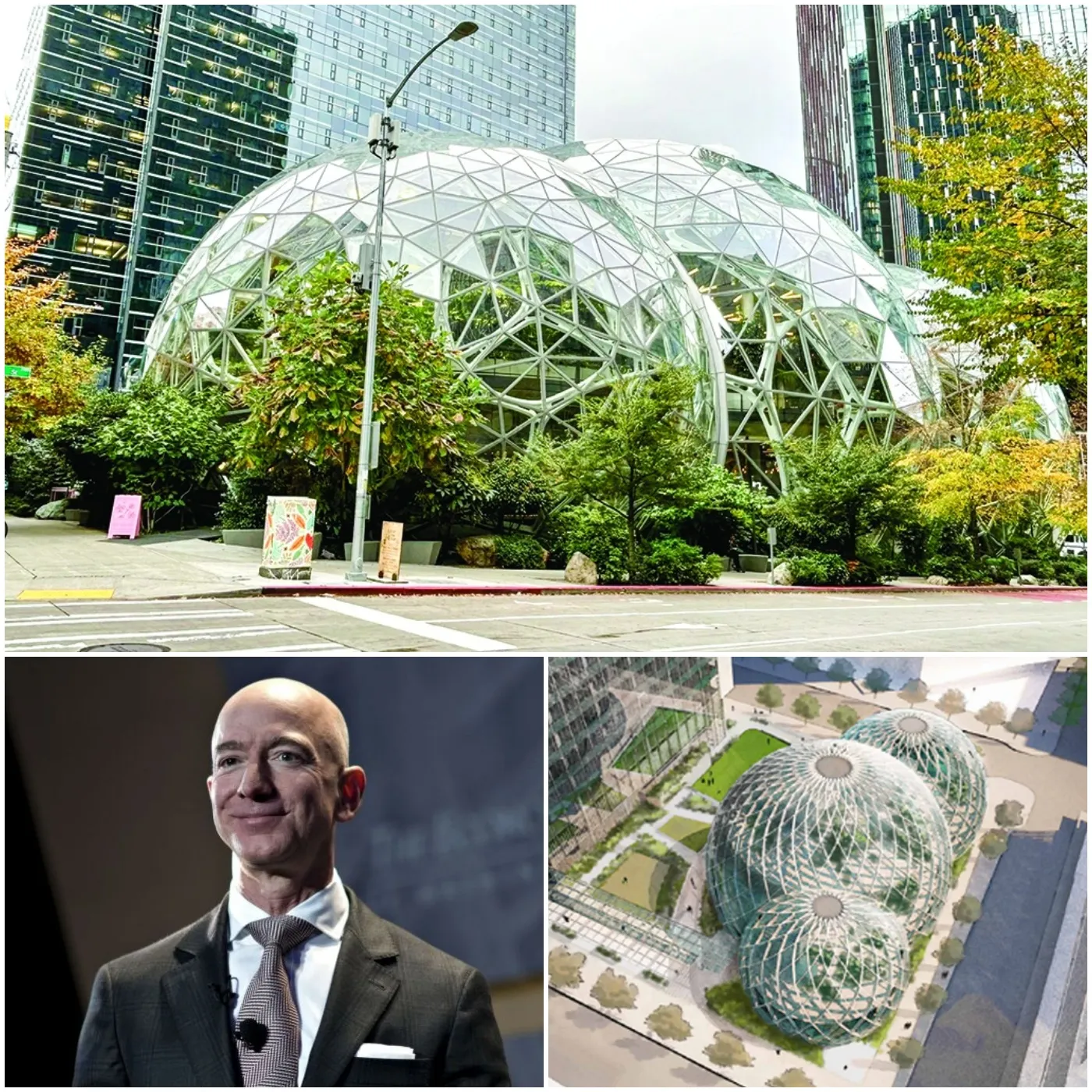 Inside Amazon’s Unique Headquarters: A Tour of “Amazonia” in Seattle