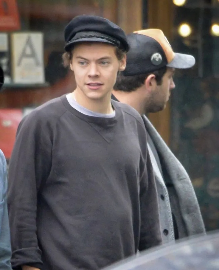 Pin by ⨯͜⨯ on Hazz<3 | Harry styles haircut, Harry styles short hair, Harry styles hair