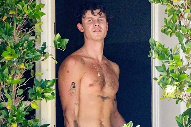 Shawn Mendes Steps Out Shirtless in L.A. — But What’s Inside That Mystery Bag Has Fans Losing It