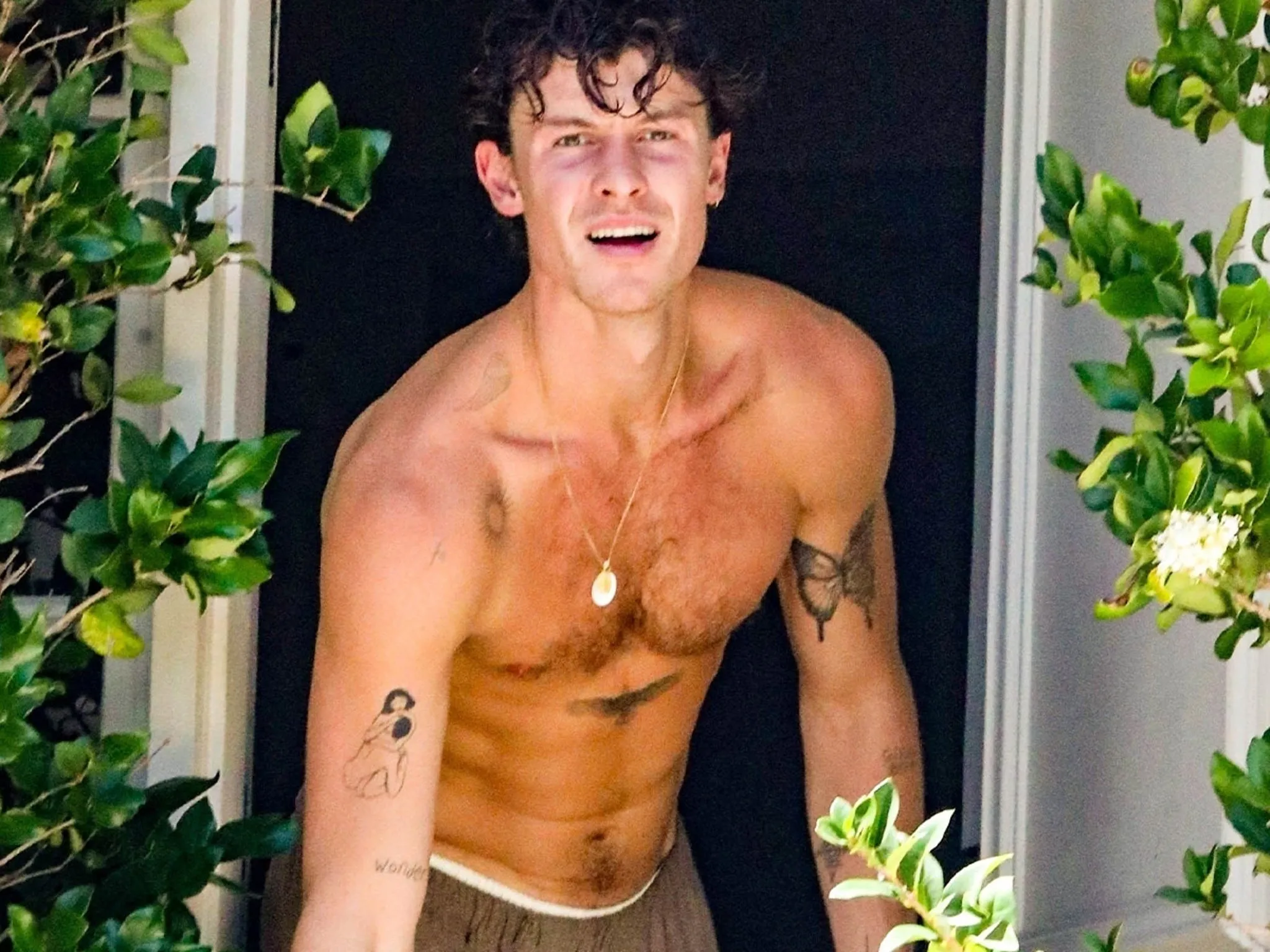 Shawn Mendes Unveils New Eagle Tattoo on Chest