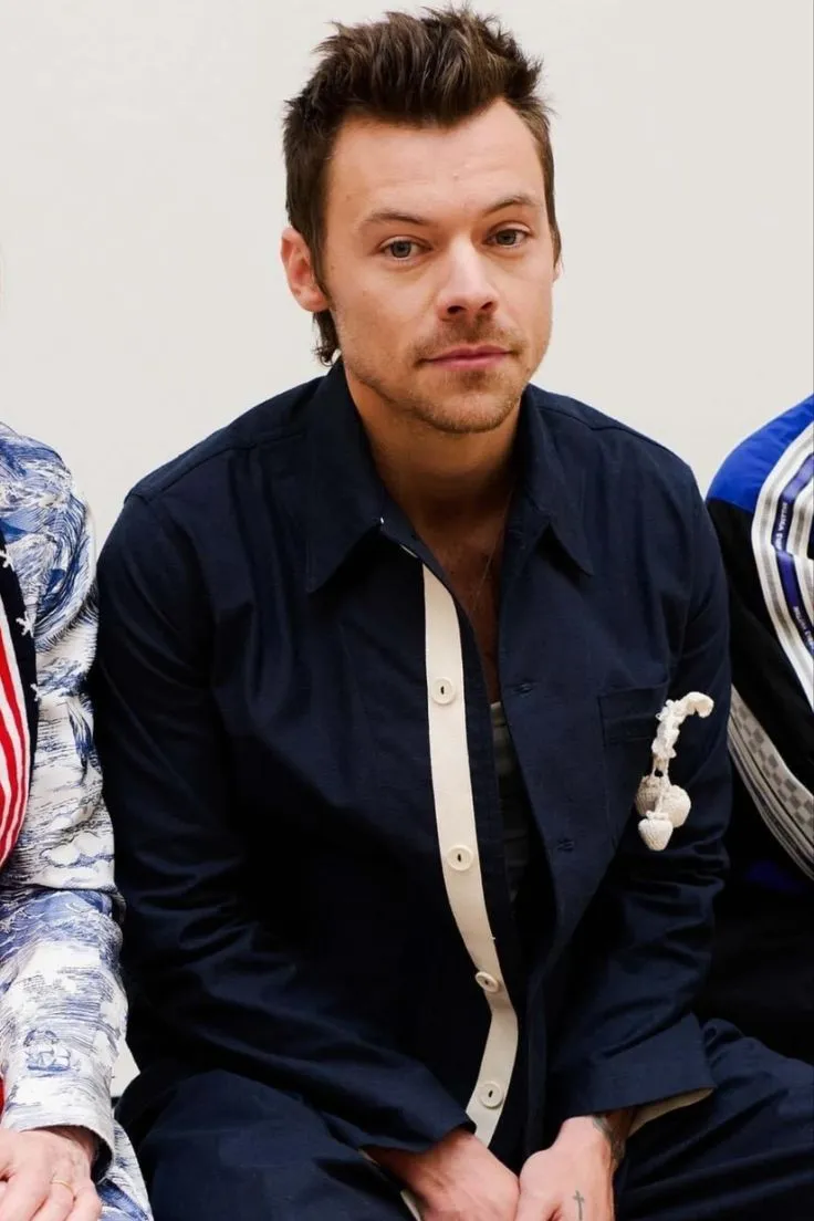 Inside Harry Styles’ Private Life — The Obsession With Perfection No One Saw Coming