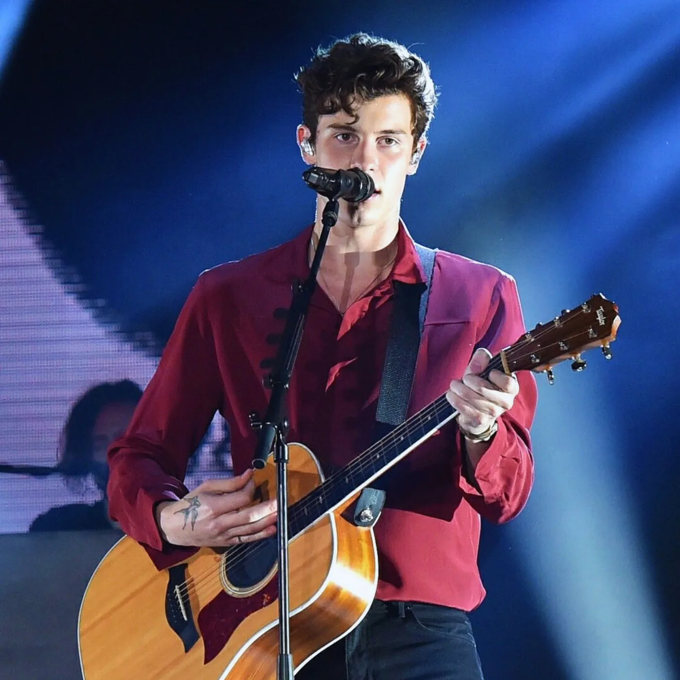 Shawn Mendes Exposes His Most Controversial Source of Inspiration Yet