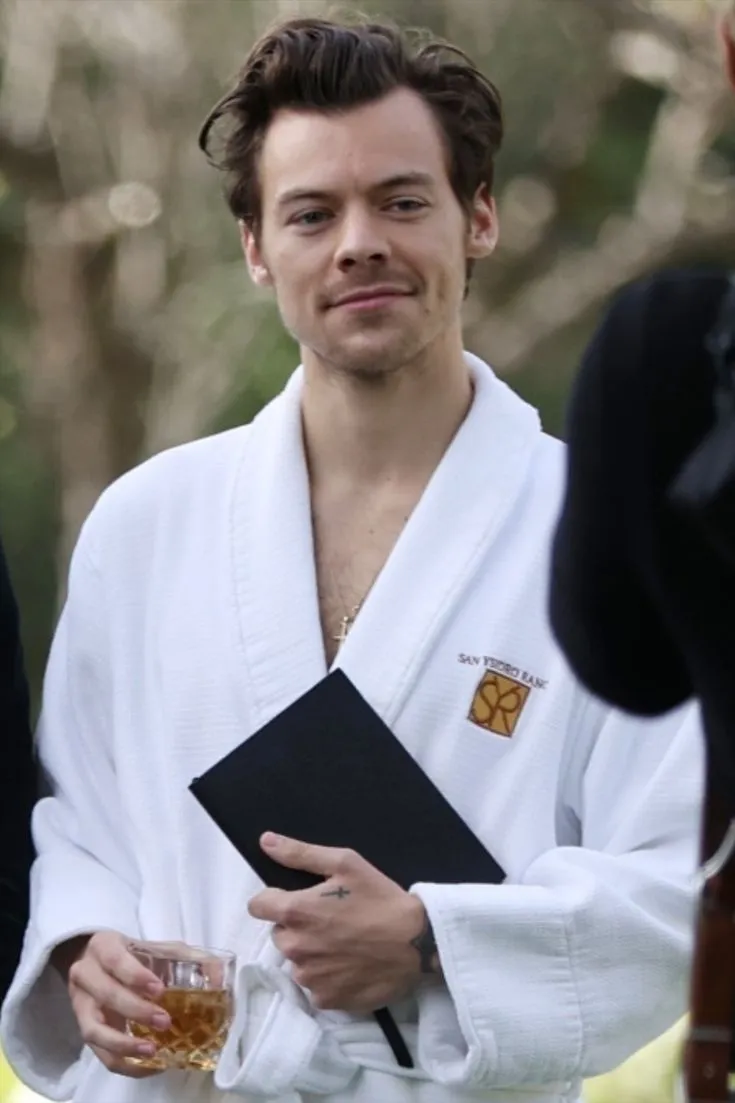 Harry Styles & Kendall Jenner’s Yacht Chemistry Has Fans Spiraling — Leaked Photos Spark Wild Speculation About What Really Happened at Sea