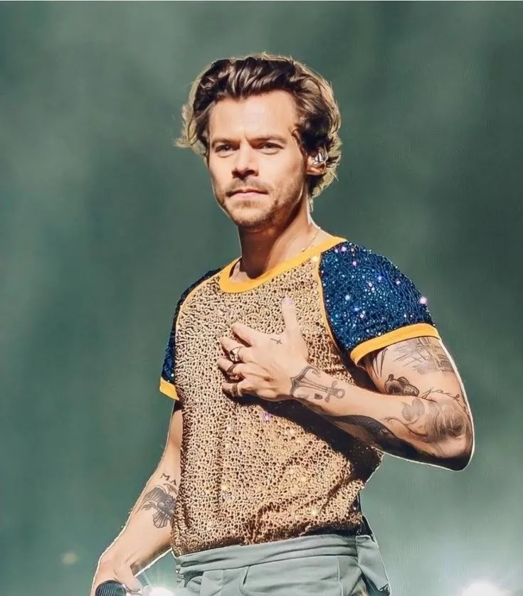 Security Tightens Around Harry Styles After Shocking Onstage Crotch Grab Sends Fans Into Frenzy 2 Security Tightens Around Harry Styles After Shocking Onstage Crotch Grab Sends Fans Into Frenzy