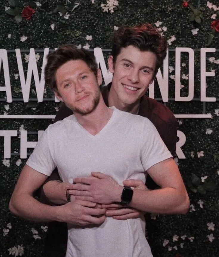 Pin by dieno nope on King Niall | Shawn mendes album, Hot shawn mendes, Shawn