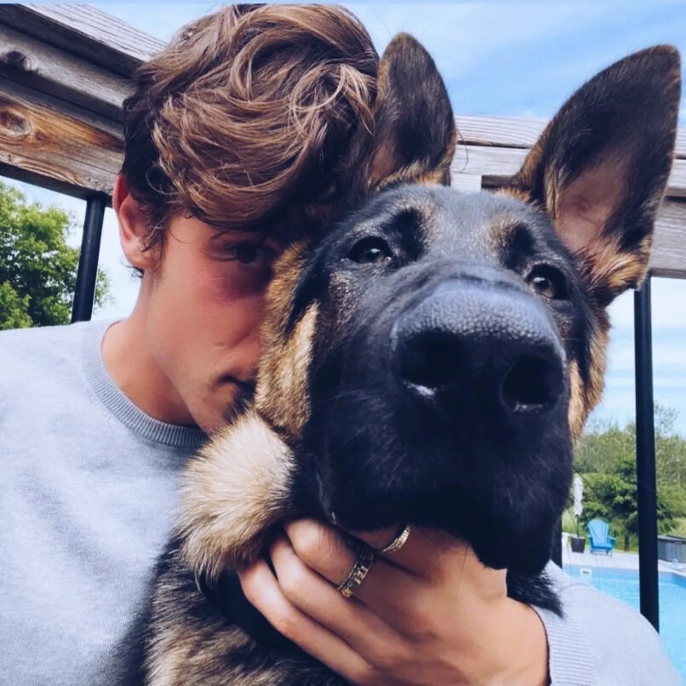 Shawn Mendes Polished Image Shattered by Animal Habit 3 Shawn Mendes Polished Image Shattered by Animal Habit