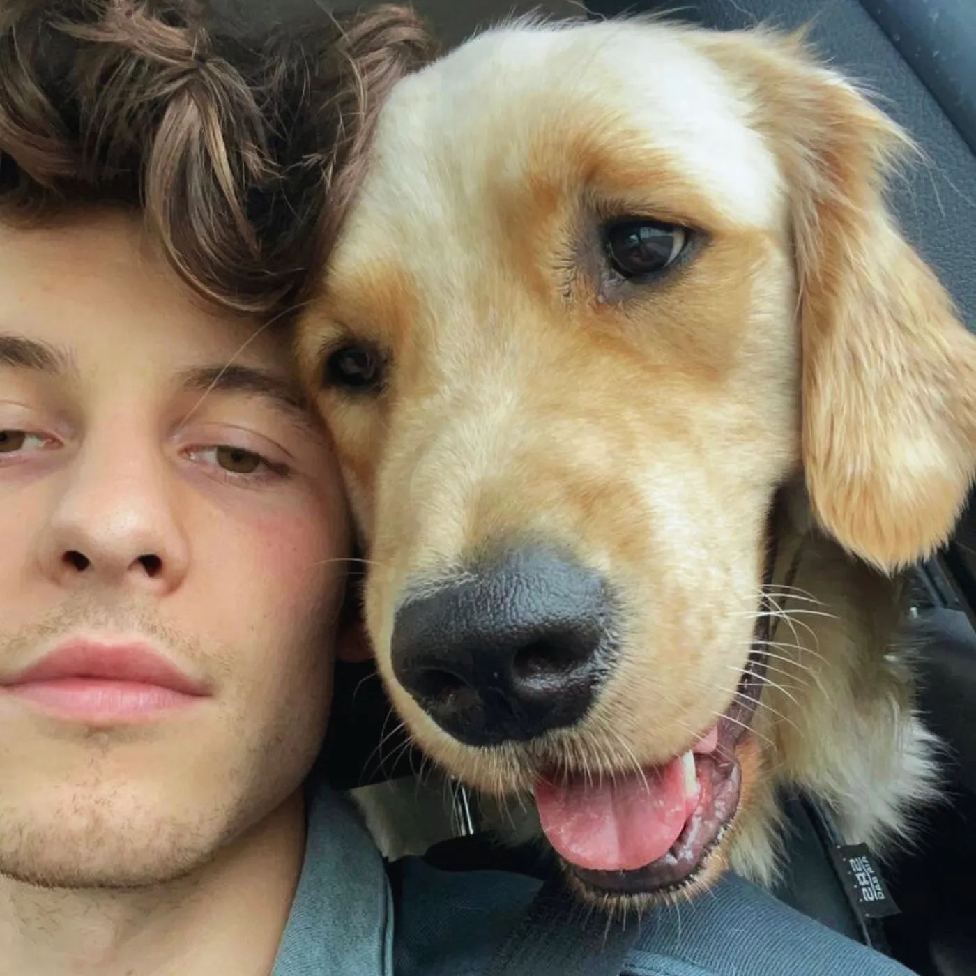 Shawn Mendes Polished Image Shattered by Animal Habit 4 Shawn Mendes Polished Image Shattered by Animal Habit